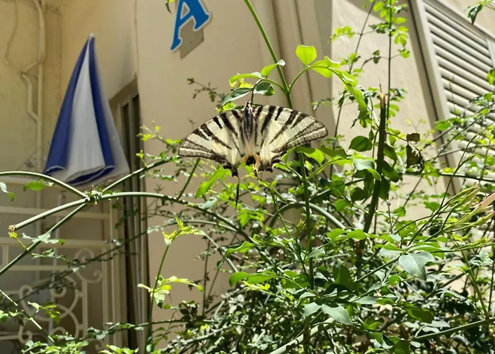 Maison Masse - Holiday Home With Private Courtyard (Adults Only)