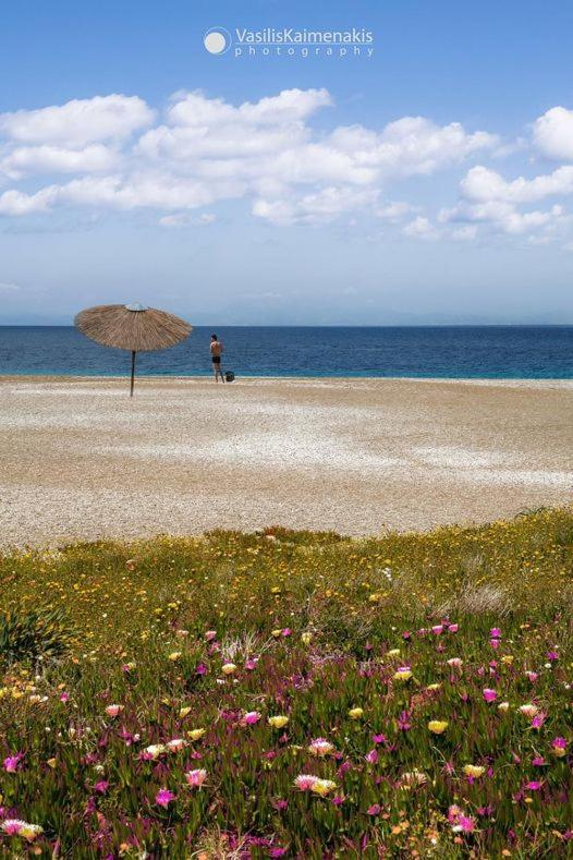 Maison Masse - With Private Courtyard (adults Only) Rhodes City