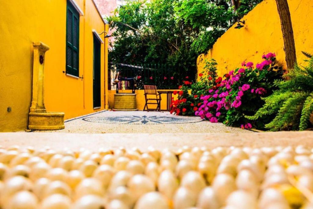 Apartment Maison Masse - With Private Courtyard (adults Only) *