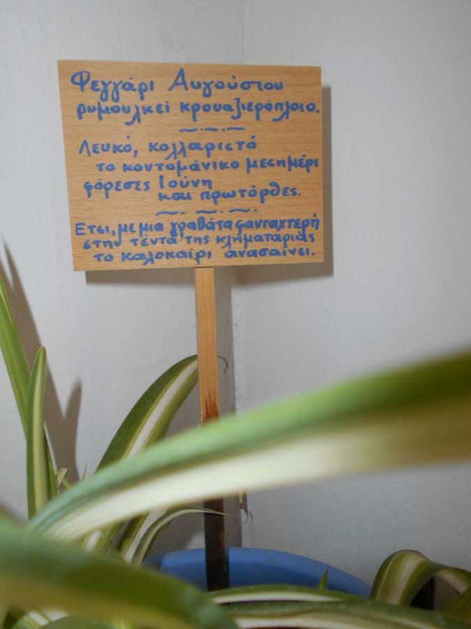 Apartment Maison Masse - With Private Courtyard (adults Only) *
